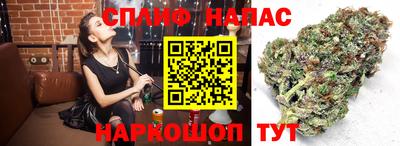 ALPHA PVP Малоярославец