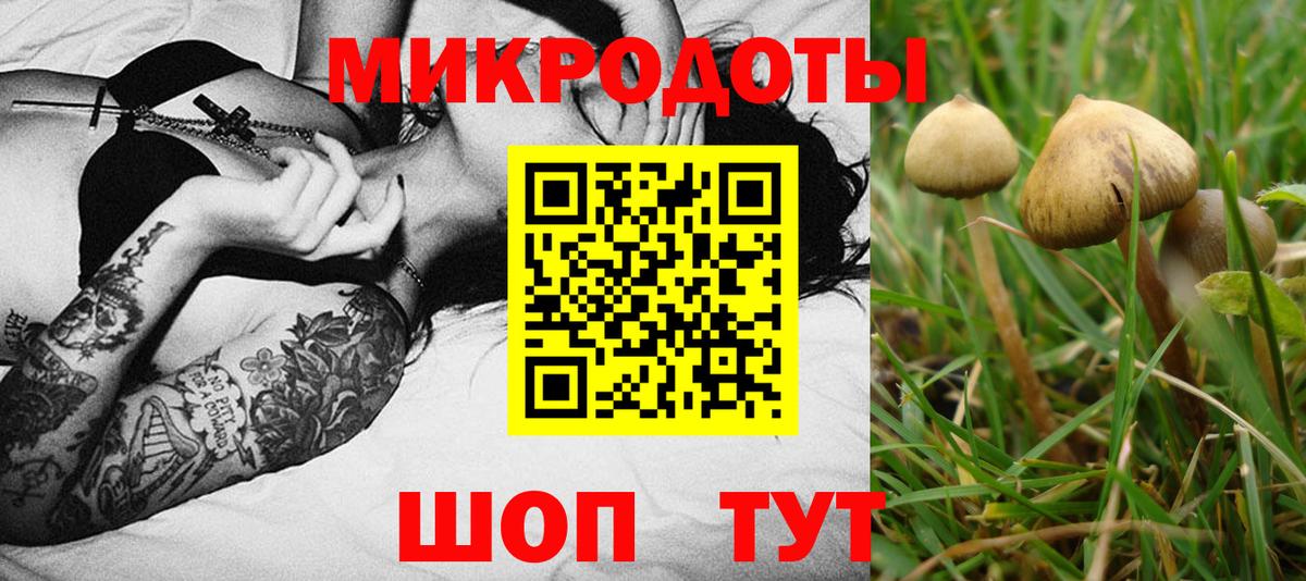 Галлюциногенные грибы прущие грибы  Вход с VPN  Волгоград 